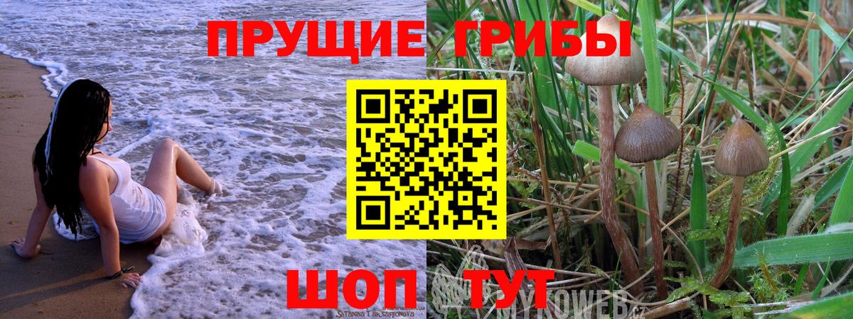 Псилоцибиновые грибы мухоморы  Вход с VPN  Азнакаево 